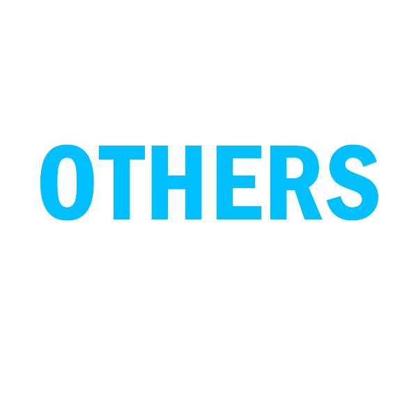 Other Audio devices