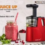 Rebune Slow Juicer ,with 2 Outlet For Juice & Pulp R 079 Red